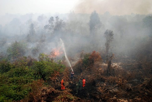 Indonesia huy động 25 máy bay dập cháy rừng ảnh 1